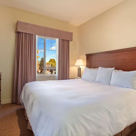 Homewood Suites By Hilton Jackson